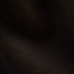 Meet your Posher, Katelyn